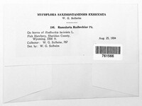 Image Associated With the Occurence